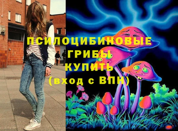 хмурый Зерноград